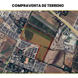 Puertas Negras - Talca