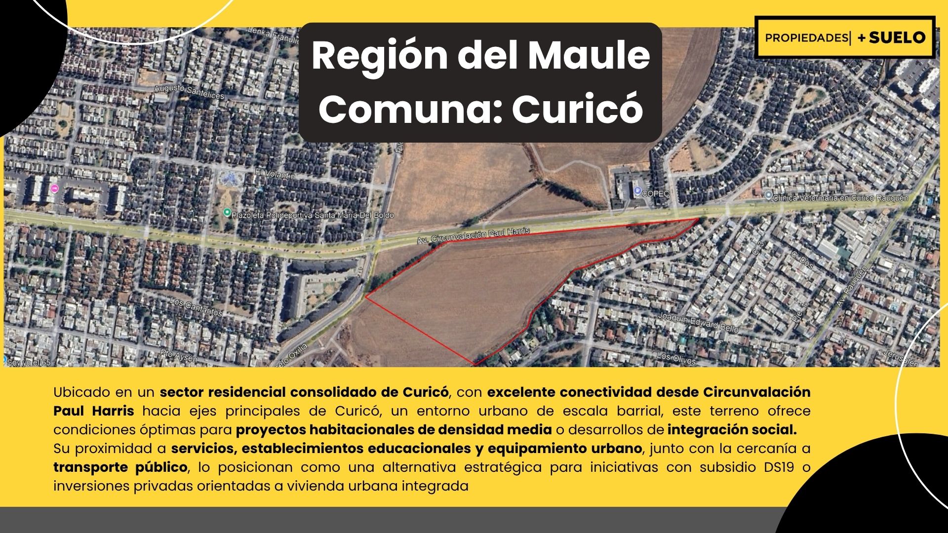 Paul Harris - Curico - Imagen 2