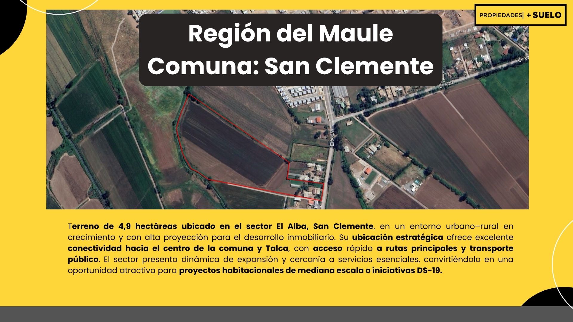 El Alba - San Clemente - Imagen 2