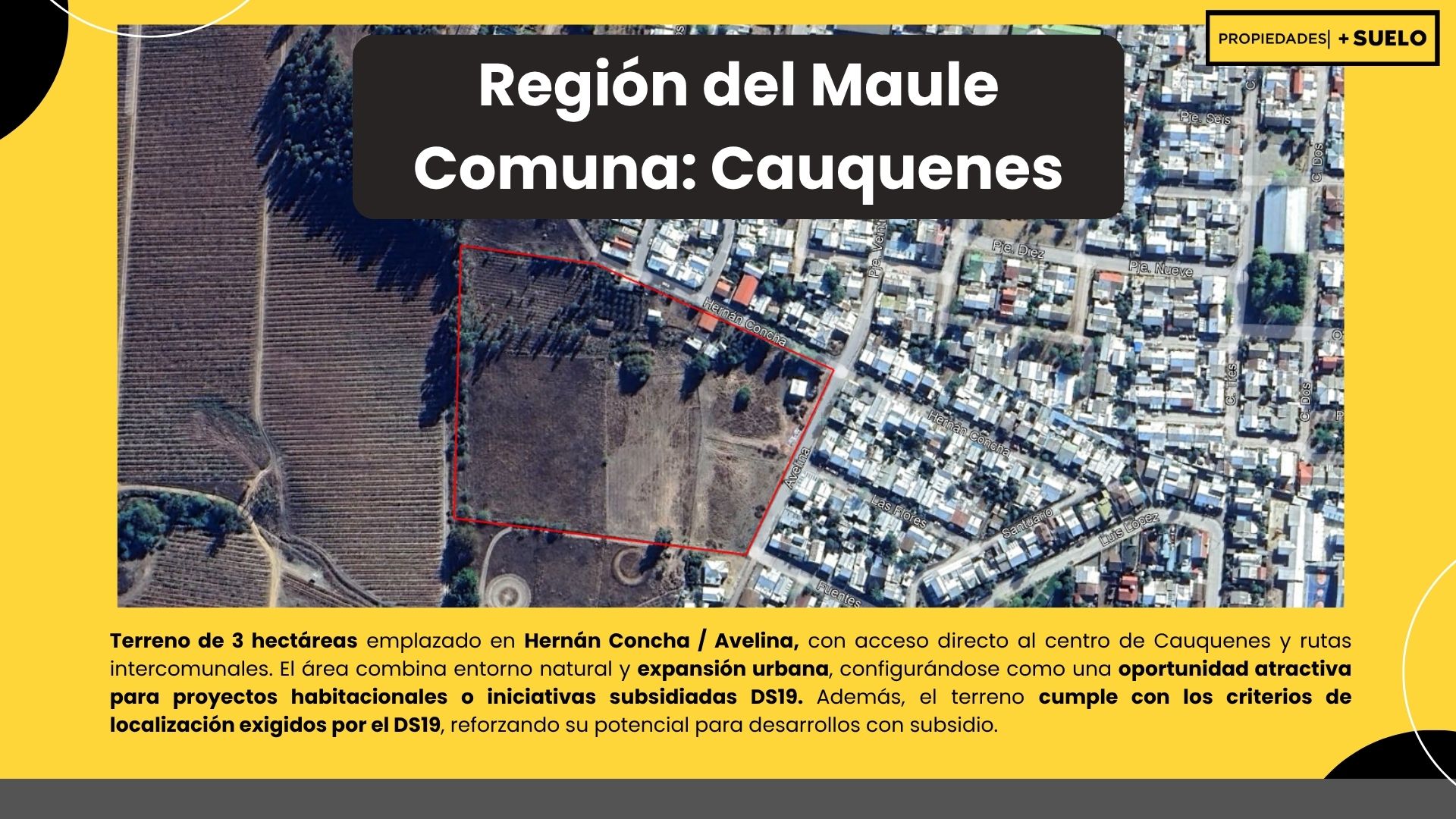 Hernan Concha - Cauquenes - Imagen 2