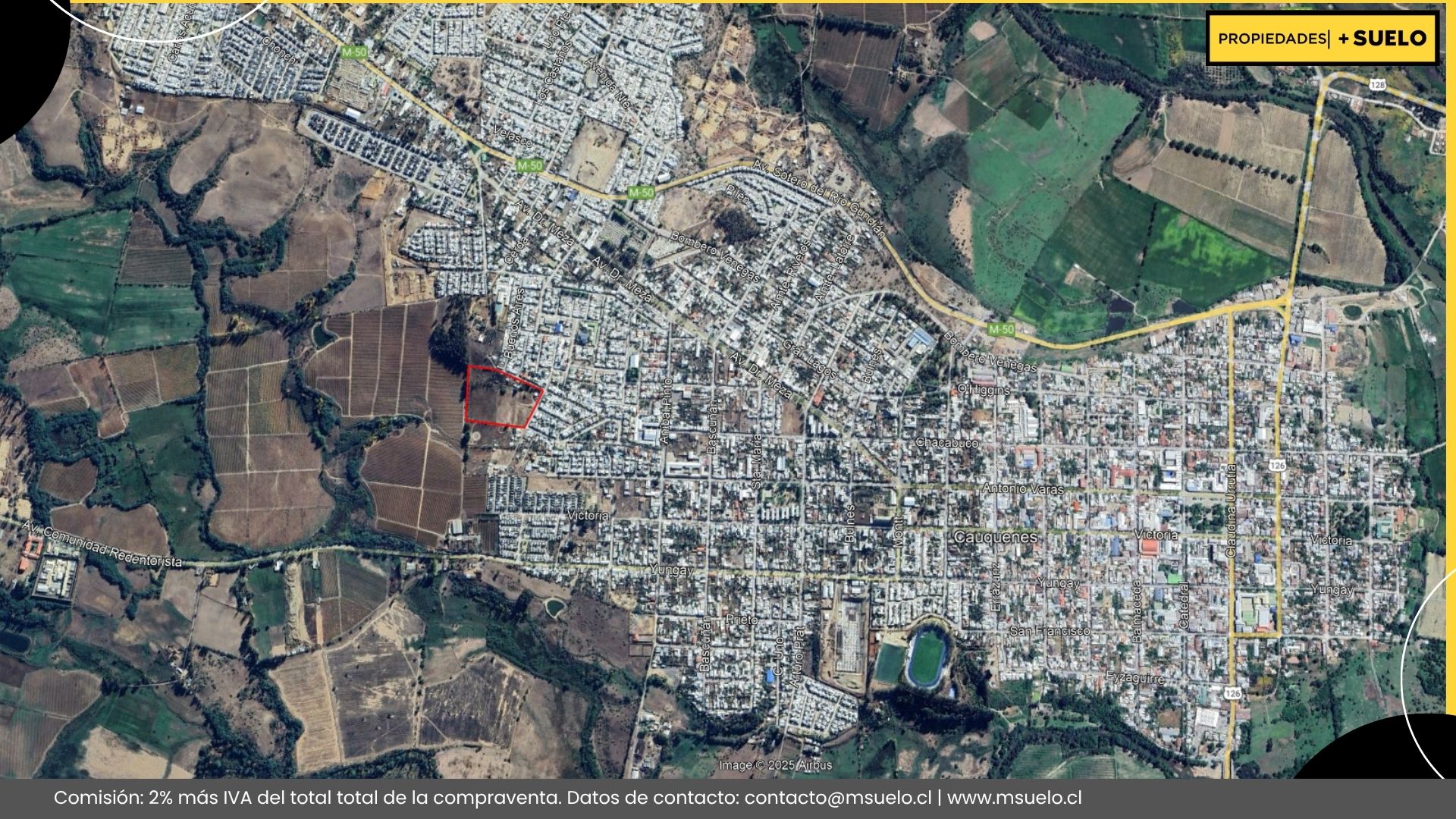 Hernan Concha - Cauquenes - Imagen 4